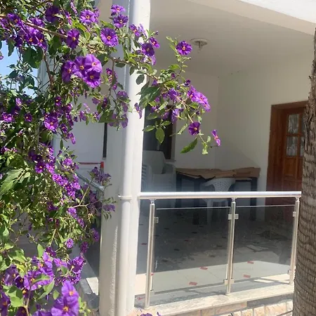 Selcuk Apart Apartment